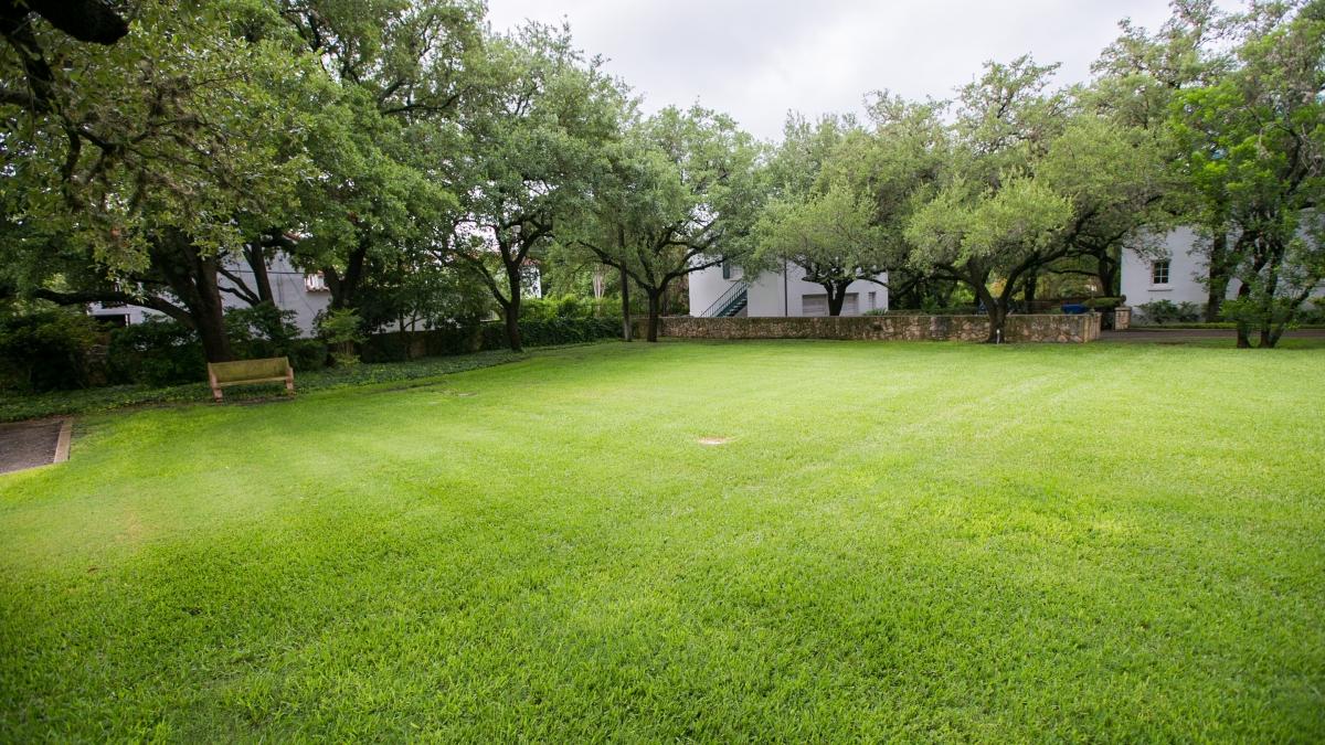 The open, well-kept lawn outside holt center